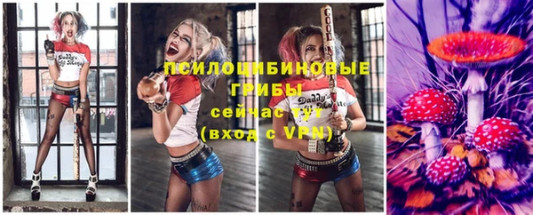 apvp Медвежьегорск